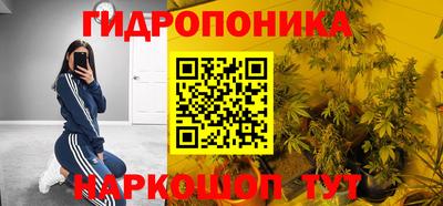 гидра Моздок