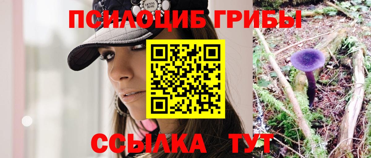 Галлюциногенные грибы MAGIC MUSHROOMS  Вход с VPN  Электросталь  Псилоцибиновые грибы Cubensis 